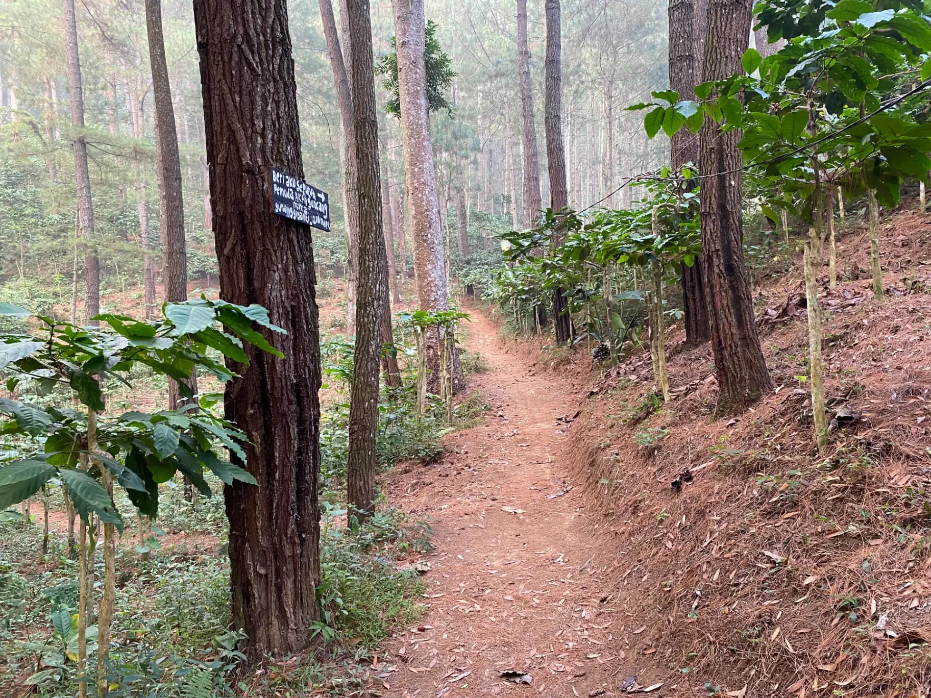 Jalur Pendakian Gunung Giyanti Via Malanggaten