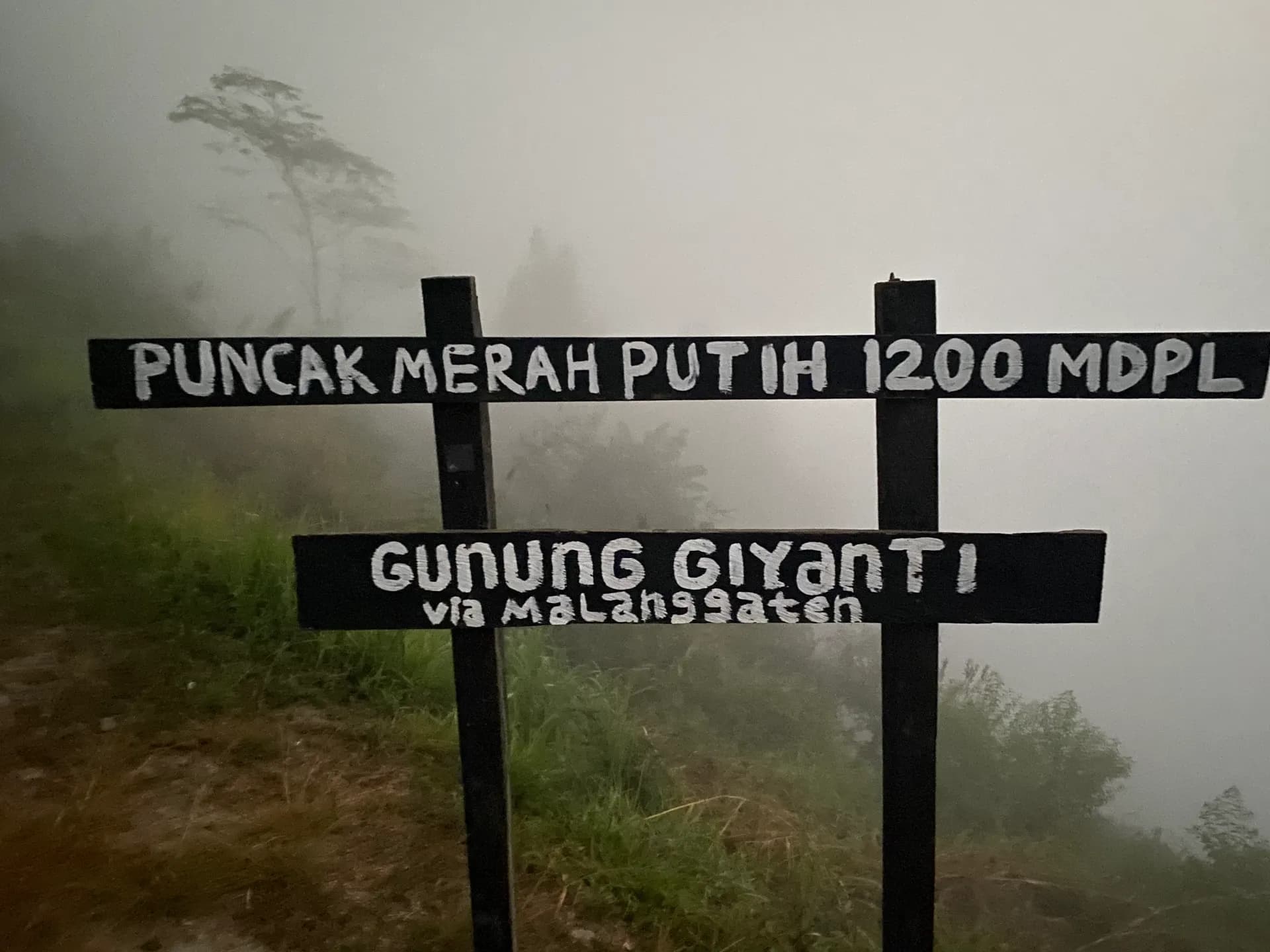 Puncak Merah Putih Gunung Giyanti Via malanggaten dalam keadaan berkabut
